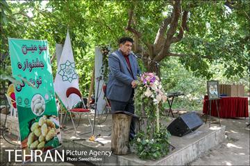 سومین دوره جشنواره توت کن 19