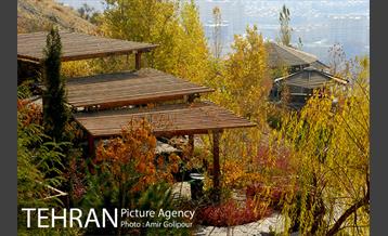 آبشار رنگارنگ 35