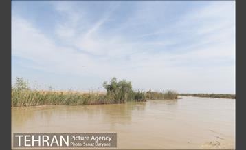 بازدید شهردار تهران از منطقه سیل زده پل قدرت آباد دشت آزادگان 7