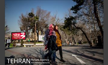 روزهای آفتابی پارک لاله 17