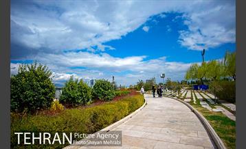 هوای پاک این روزهای تهران 39