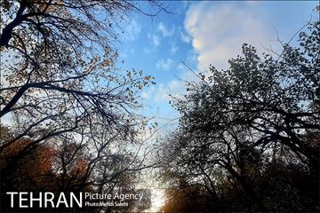 پاییز زیبای منطقه کن 13