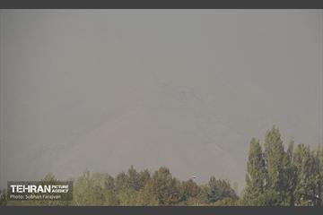 تهران در دود 9