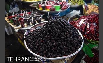 محله تجریش 14