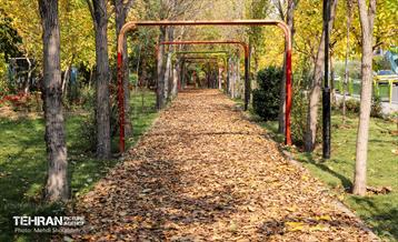 سمفونی رنگ های پاییزی - بوستان اندیشه 2