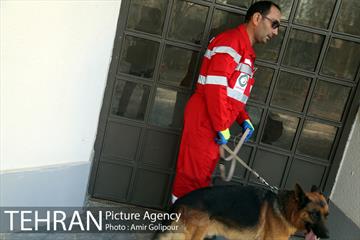 مانور پناهگیری محل امن در زلزله 14