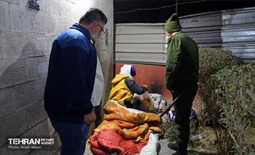 اجرای طرح ساماندهی آسیب های اجتماعی 2