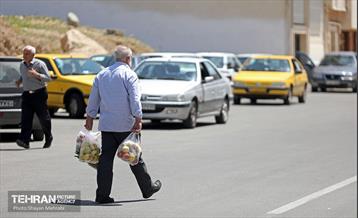 افتتاح بازار میوه و تره‌بار در منطقه 22 9