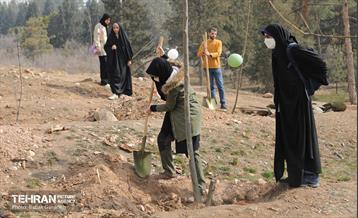 غرس ۲۷۸۲ نهال در سرخه‌حصار به یاد درگذشتگان جامعه پزشکی 9