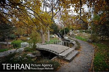 باغ گیاه‌شناسی ملی ایران 48