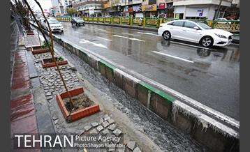 بارش باران بهاری در تهران  7