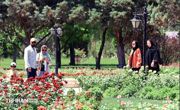 طبیعت بهاری در باغ ملی گیاهشناسی ایران 28