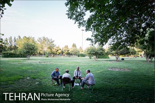 شهرنگار؛ بوستان قائم 30