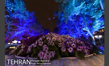 نورپردازی درختان بلوار میرداماد 18