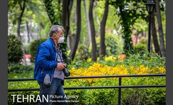 لاله های باغ ایرانی 3