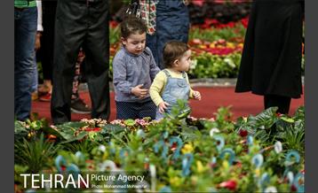 هفدهمین نمایشگاه بین‌المللی گل و گیاه 29