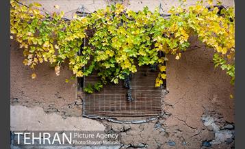 طبیعت پاییزی روستای سنگان 44