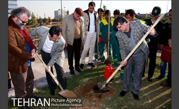 آیین درختکاری در منطقه فرهنگی و گردشگری عباس آباد  14