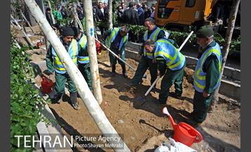 احیای درختان خیابان  ولیعصر( عج) با حضور شهردار تهران  47