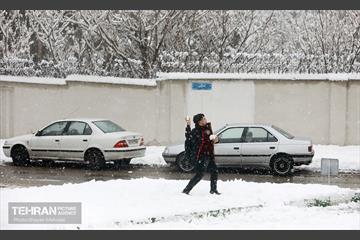روز برفی پایتخت 39