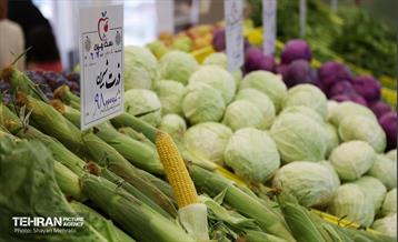 بازار میوه و تره‌بار مرواردید 15