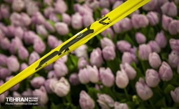 لاله های باغ ایرانی 10