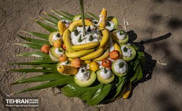 «مایسا» یکساله شد 2