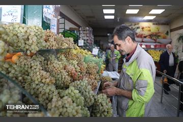 تره‌بار یلدایی 17