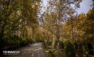 سمفونی رنگ های پاییزی - پارک لاله 30