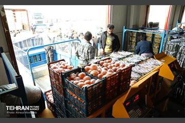 توزیع میوه شب عید قیمت تنظیم بازار در میادین و بازارهای میوه و تره‌بار 11