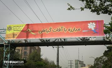 اکران کاربردهای فناوری هسته ای در شهر 3