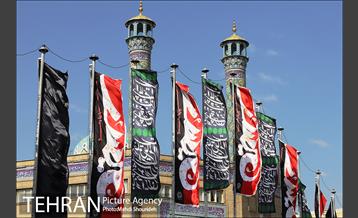 باز این چه شورش است که در خلق عالم است 11