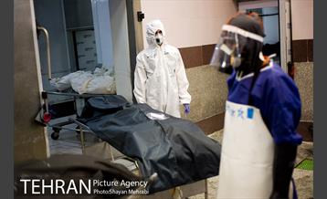 تطهیر و تدفین جانباختگان کرونایی در بهشت زهرا(س) 14