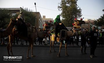 ورود نمادین کاروان امام حسین‌(ع) به کربلا 18