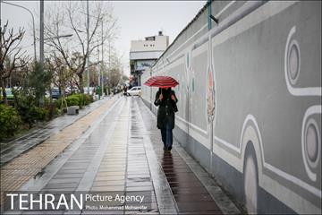 بارش باران بهاری در تهران 1