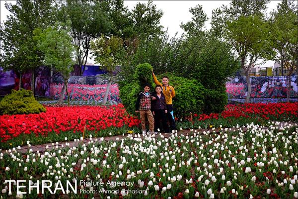 جشنواره لاله‌ها در بوستان زندگی محله هرندی 1