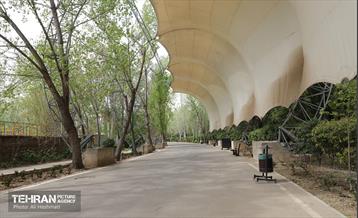 بوستان بانوان نرگس 6