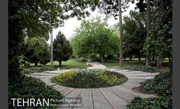 بوستان آزادگان 32