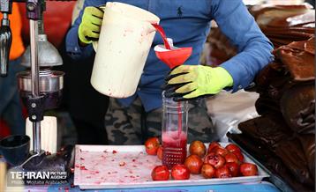 جشنواره انار «صد دانه یاقوت» 4