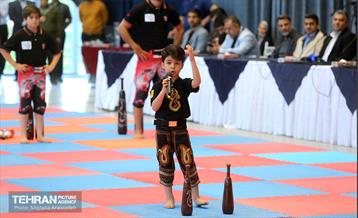 نشست صمیمانه شهردار تهران با قهرمانان، پیشکسوتان و مدیران ورزشی کشور 29