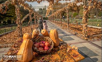 گذرگاه های پاییزی پایتخت - پارک ملت  2