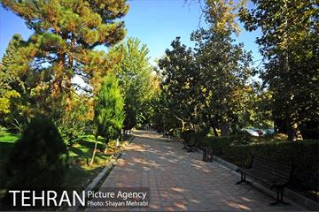 بوستان هنرمندان (ایرانشهر) 3