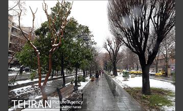 روز برفی بلوار کشاورز 17