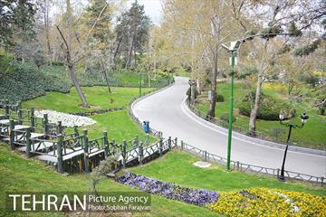 روز طبیعت متفاوت شهر تهران-1 21