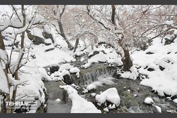 بارش برف زمستانی در منطقه 1 8