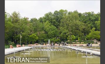 بوستان نیاوران 5