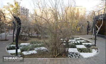 هشتادوششمین رویداد امیدوافتخار 39