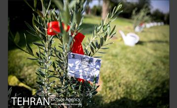 آئین درخت کاری به مناسبت تولد گاندی 20