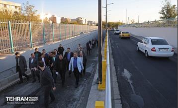 بازدید کمیسیون برنامه و بودجه شورای شهر از پروژه‌های منطقه ۱۷ 48