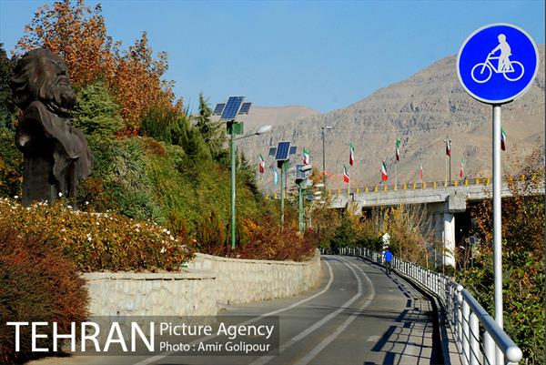 پاییز رنگارنگ بوستان جوانمردان ایران 4